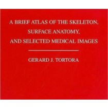 Atlas of the Human Skeleton, Surface Anatomy and Selected Medical Images (WSE)