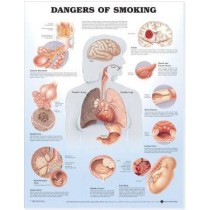 Dangers of Smoking Chart