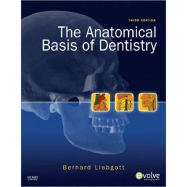 The Anatomical Basis of Dentistry, 3rd Edition