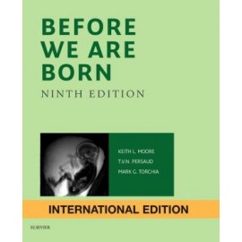 Before We Are Born, IE, 9e