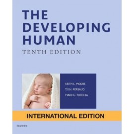 The Developing Human IE, Clinically Oriented Embryology, 10e
