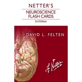 Netter's Neuroscience Flash Cards, 3rd Edition