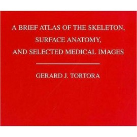 Atlas of the Human Skeleton, Surface Anatomy and Selected Medical Images (WSE)