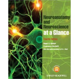 Neuroanatomy & Neuroscience at a Glance, 4e