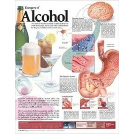 Dangers of Alcohol Chart 2E
