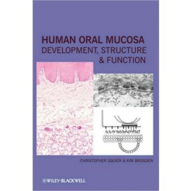 Oral Human Mucosa: Development, Structure and Function