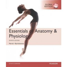 Essentials of Anatomy & Physiology 7e