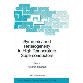 Symmetry and Heterogeneity in High Temperature Superconductors