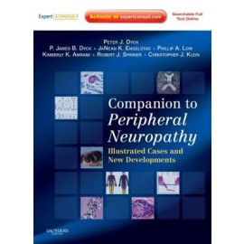 Companion to Peripheral Neuropathy, Illustrated Cases and New Developments