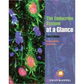 The Endocrine System at a Glance, 3e