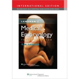 Langman's Medical Embryology IE, 12e **