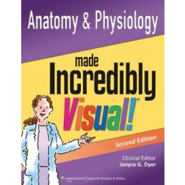 Anatomy & Physiology: Made Incredibly Visual, 2e