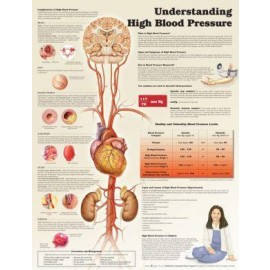 Understanding High Blood Pressure Chart
