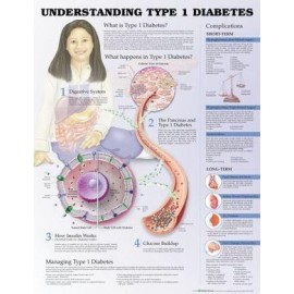 Understanding Type 1 Diabetes Chart 3E