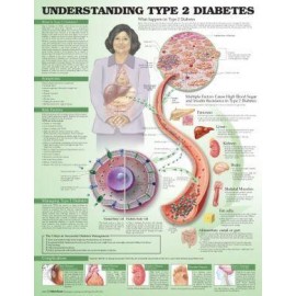 Understanding Type 2 Diabetes Chart 3E