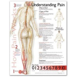 Understanding Pain Chart