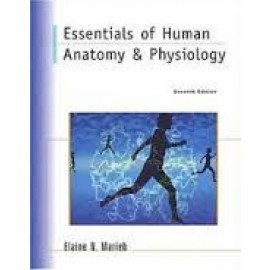 Human Anatomy & Physiology, 10ed