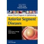 Anterior Segment Diseases