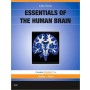 Essentials of the Human Brain: With STUDENT CONSULT Online Access