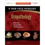 High-Yield Uropathology