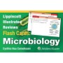 Lippincott Illustrated Reviews Flash Cards: Microbiology