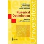 Numerical Optimization: Theoretical and Practical Aspects