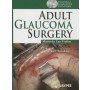 Adult Glaucoma Surgery